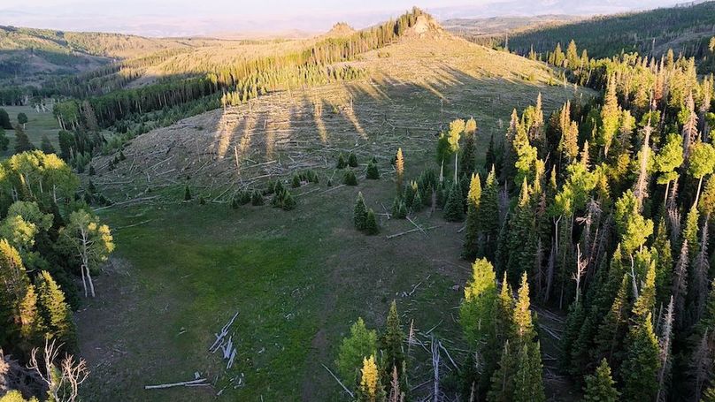 DJI_20250627201649_0076_D