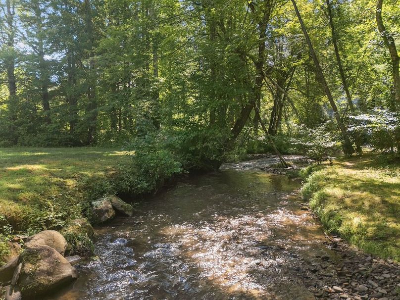 18-web-or-mls-4928 Yellow Creek Rd 016