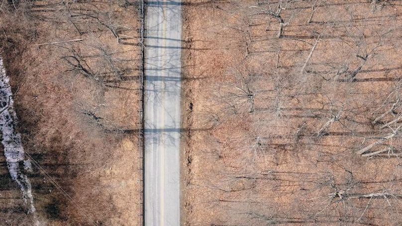 DJI_20260217123630_0144_D