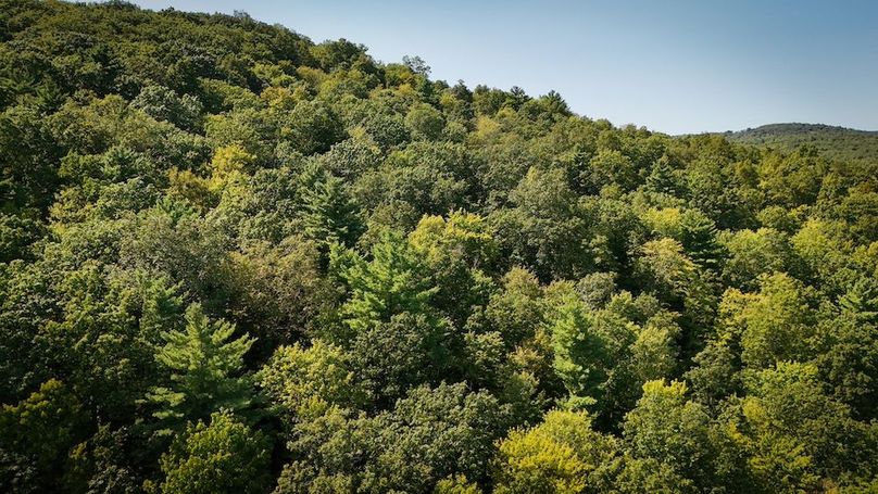 Tioga NY 86.705 Capwell Photos 18