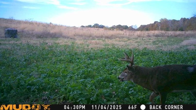 25110416300801005120_ColorizationType.none