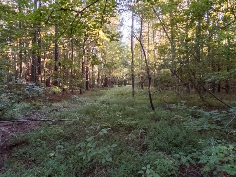 Hinds Co - 78 - Newman-21