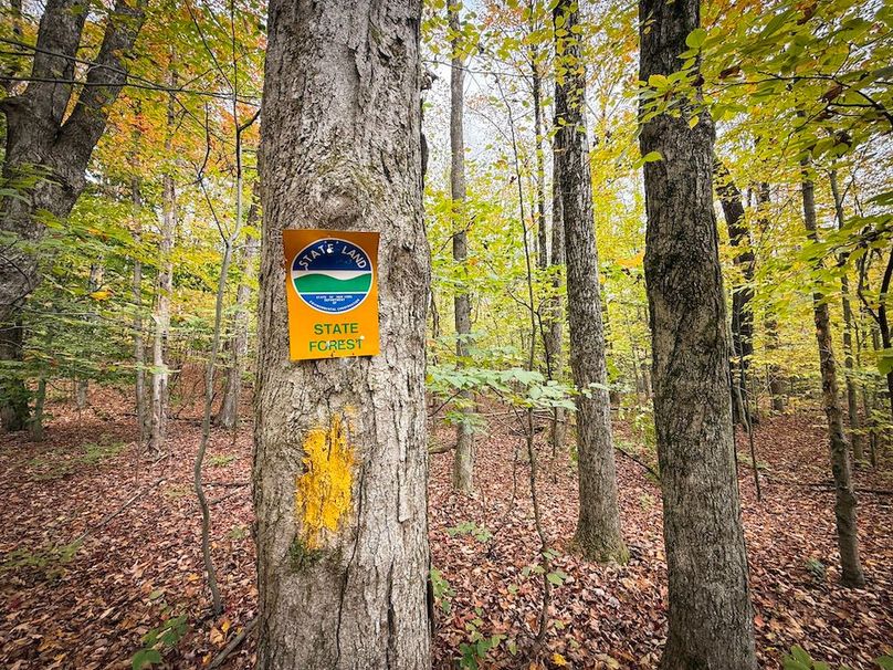 Oswego NY 6.68 Photos 26