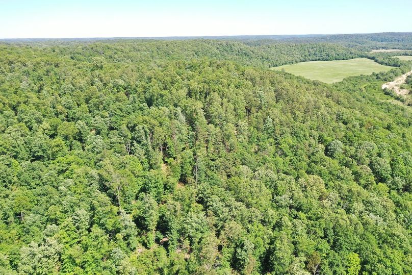 DJI_0948
