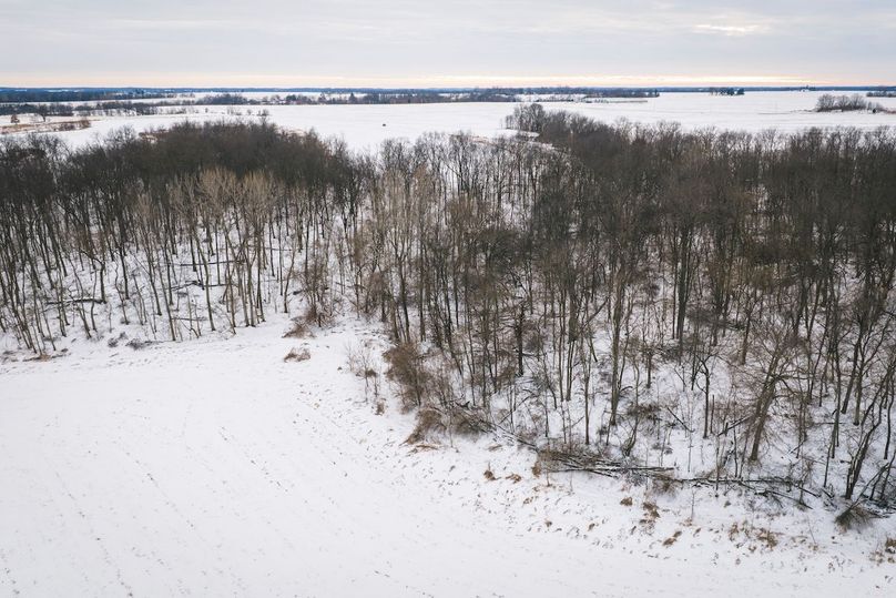 DJI_20260128163121_0546_D