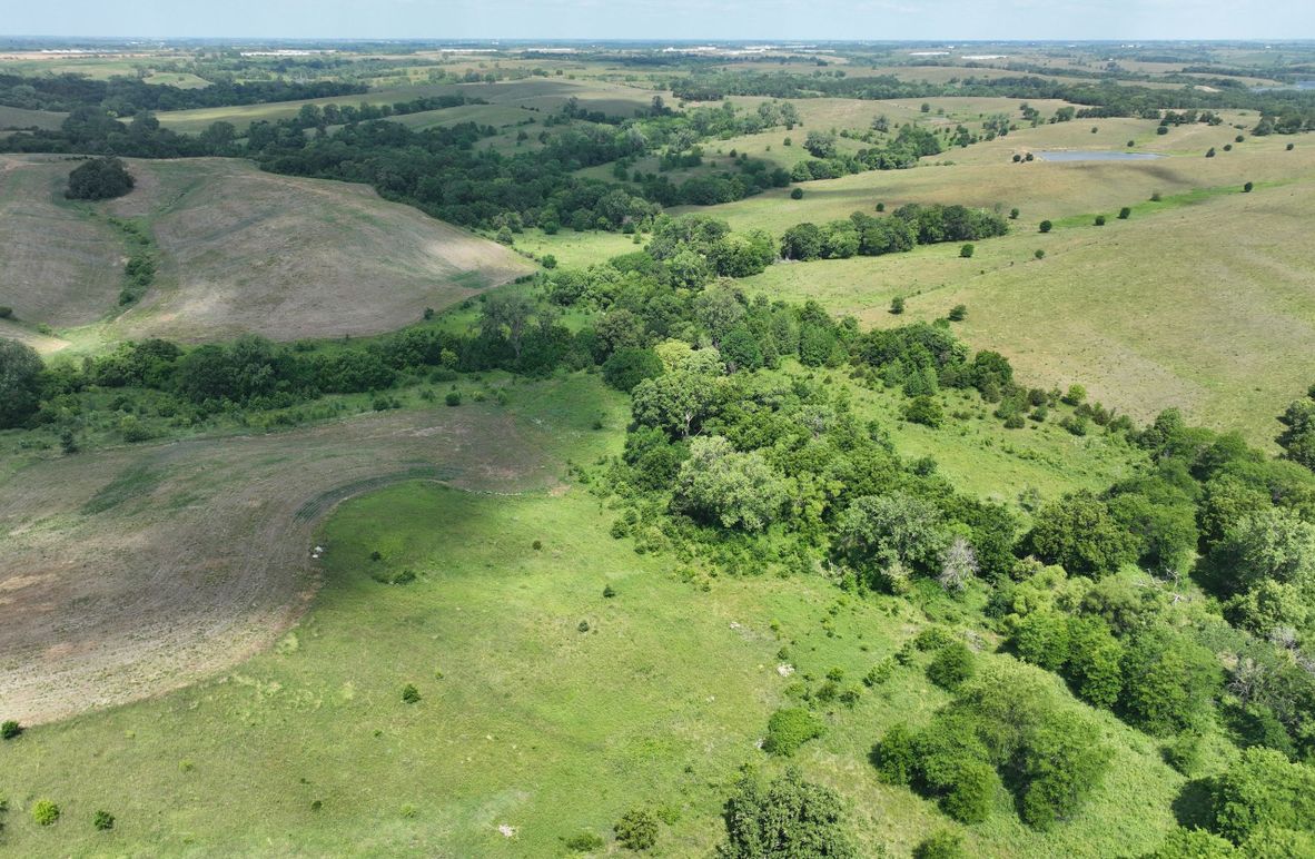 dji_fly_20230625_114304_450_1687717396647_photo