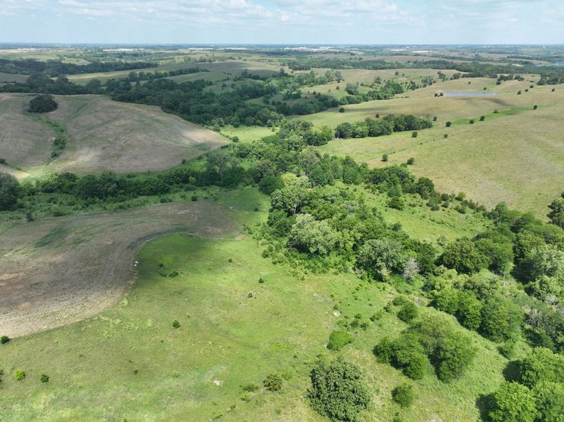 dji_fly_20230625_114304_450_1687717396647_photo