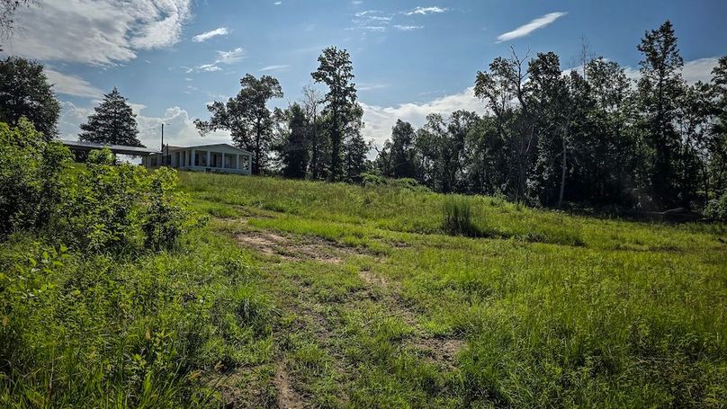 Copy of 3-20250710_095938