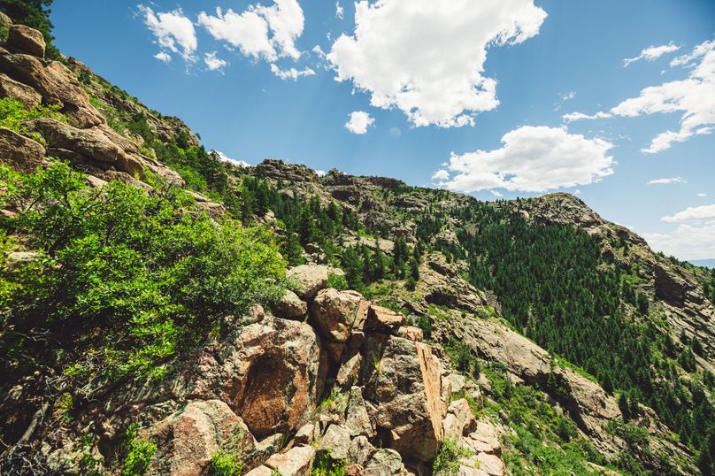 Teller Co 243.32 Kief - 019 Mid Elevation View