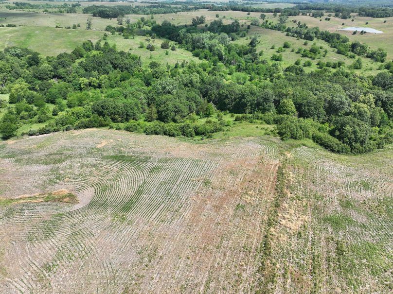 dji_fly_20230625_114908_460_1687717452445_photo