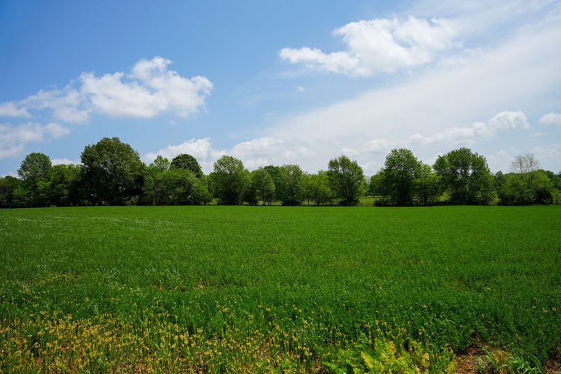 DSC01011