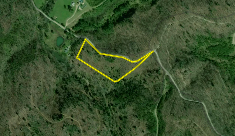 Screenshot 2025-06-09 at 2.24.29 PM