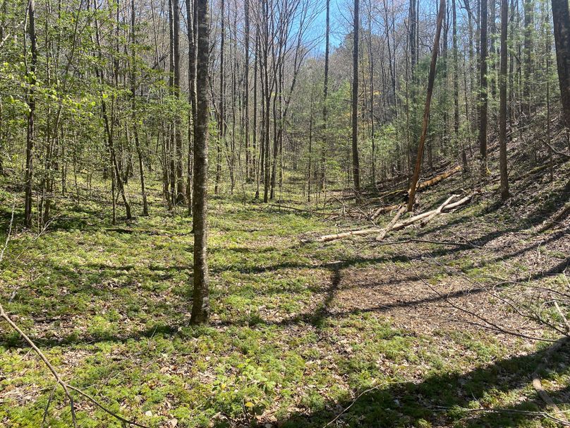 Cherokee 69.74 Stiles-28