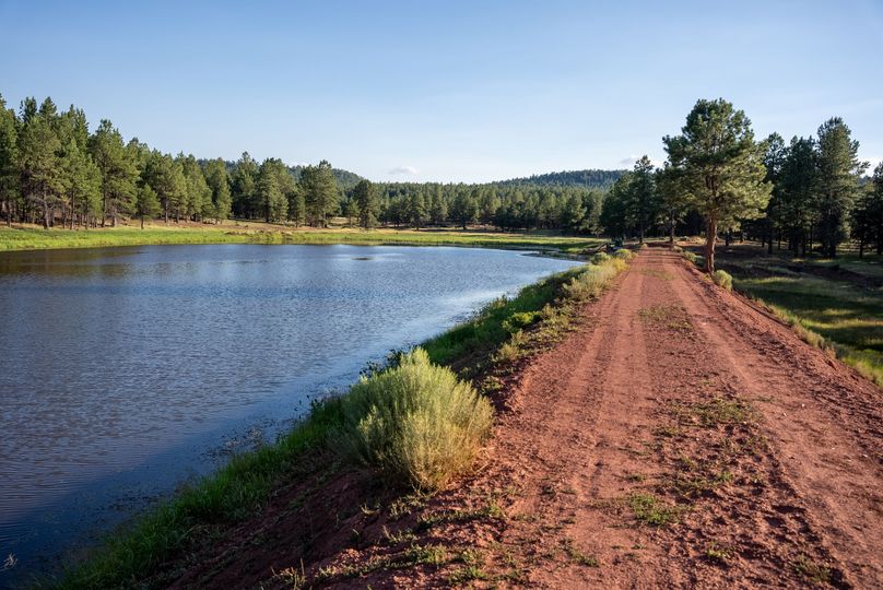 Cibola NM 13,053--87