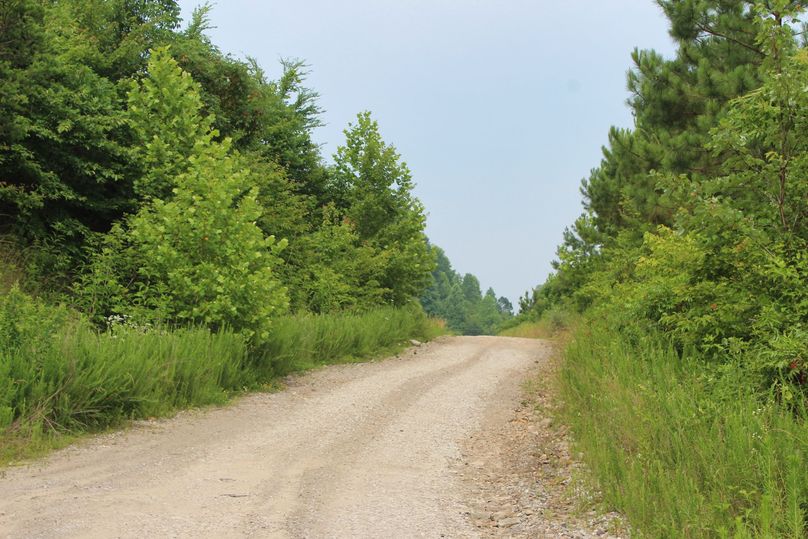 012 the main road leading through the middle area of the property to the east
