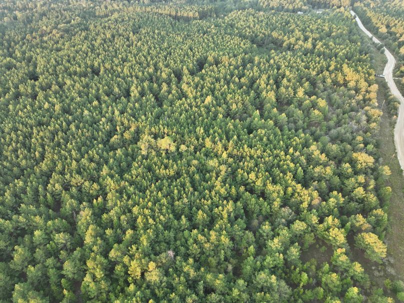 dji_fly_20230925_074226_740_1695642643415_photo