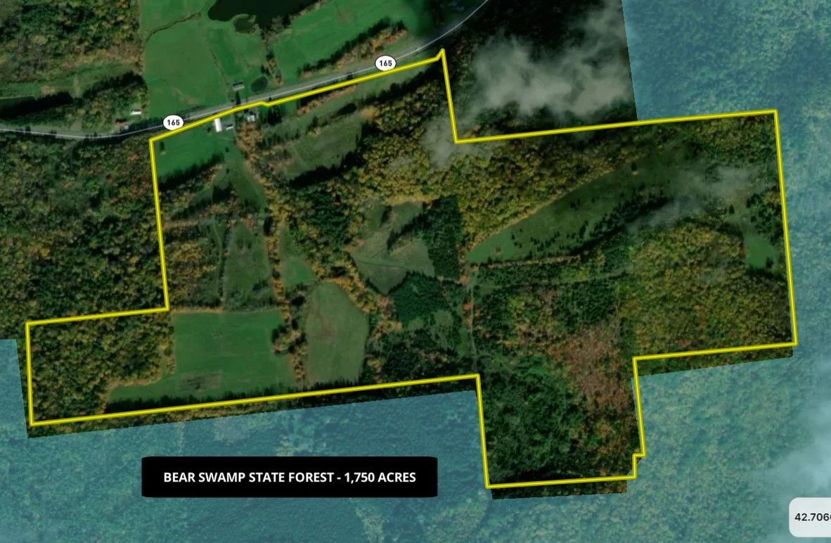 Otsego 156 Brazie Google