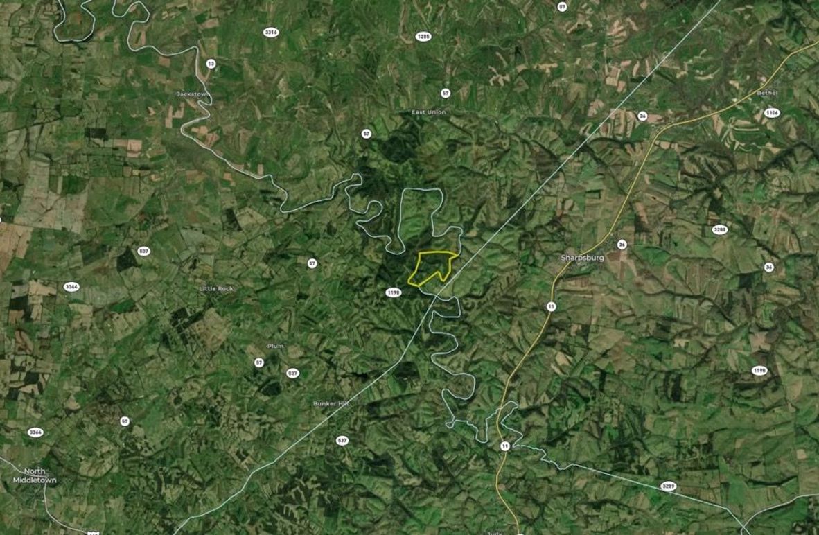 035 Bourbon 193 Land ID map zoomed out