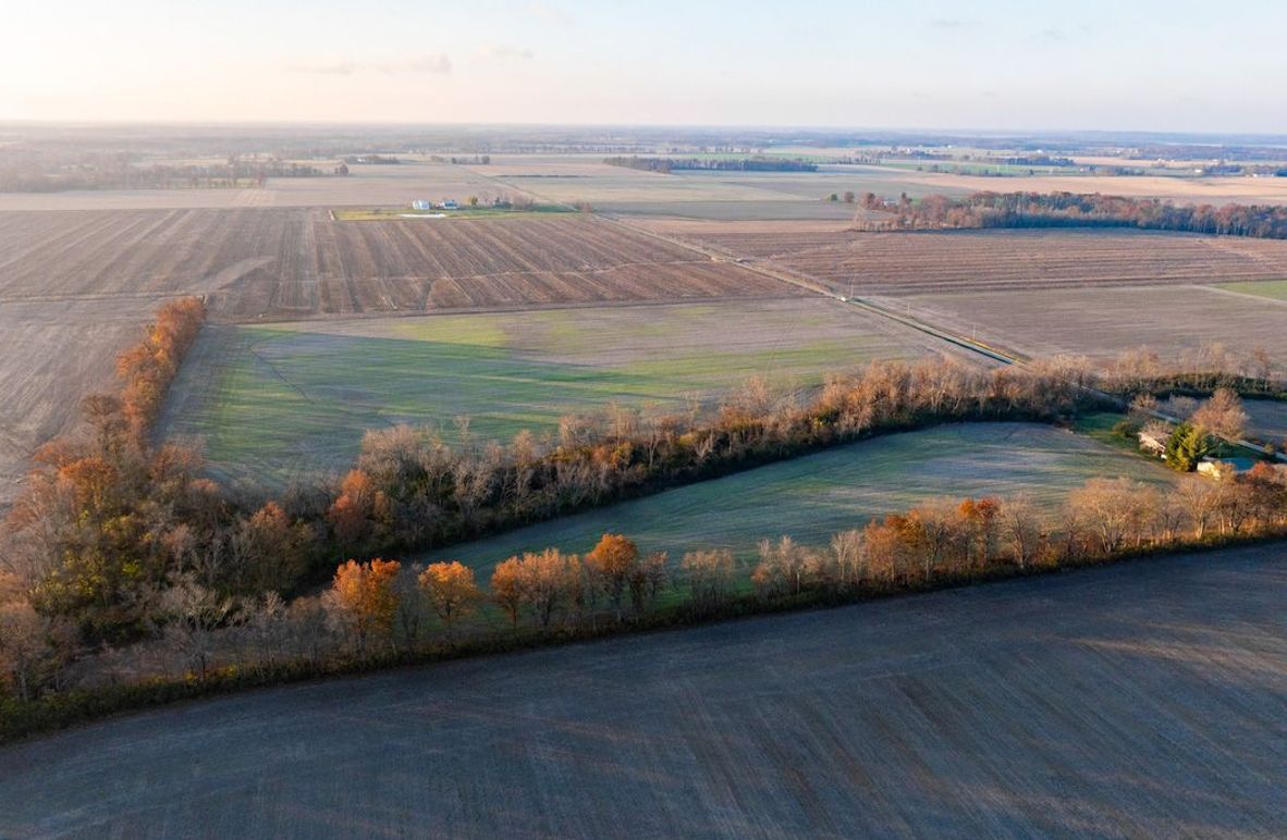 Copy of DJI_20241129073806_0005_D