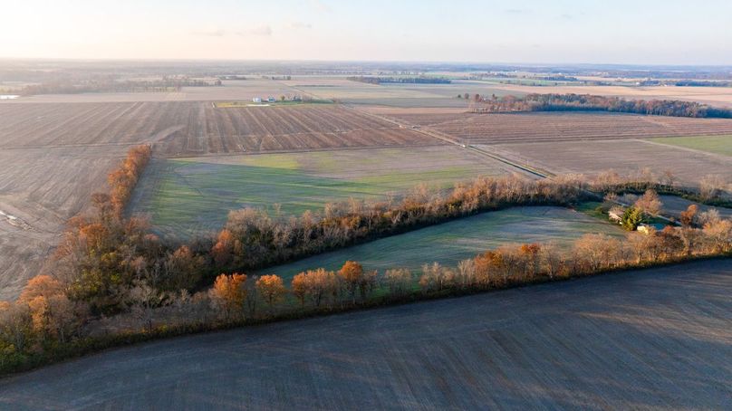 Copy of DJI_20241129073806_0005_D