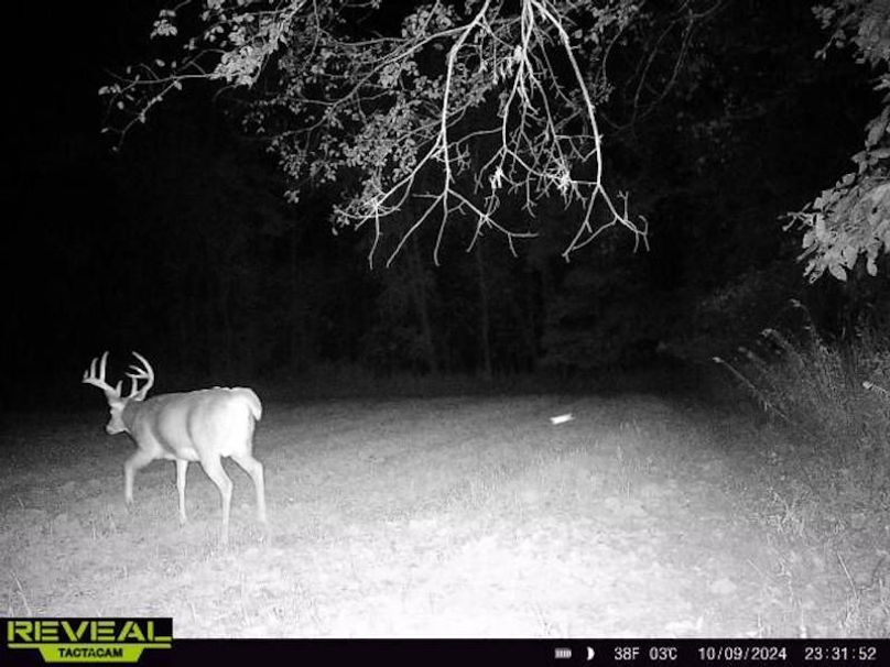 864049050359951-100-2-10092024233152-W1001369