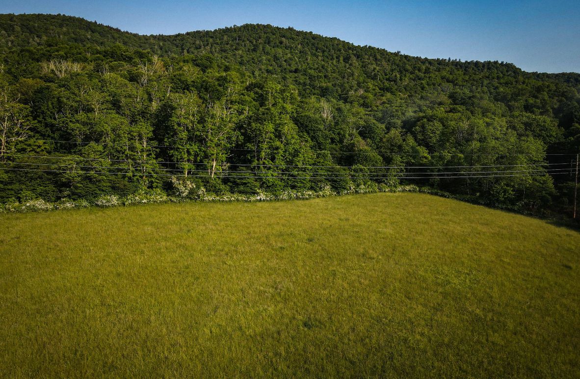 dji_fly_20230615_080030_735_1686830440935_photo