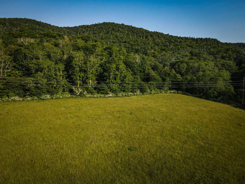 dji_fly_20230615_080030_735_1686830440935_photo