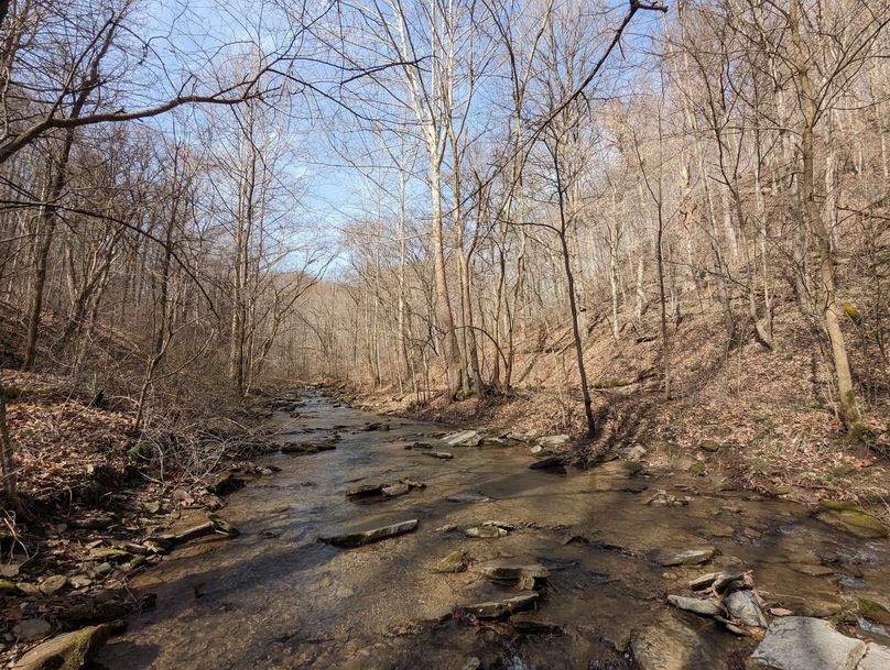 PXL_20230301_164958510