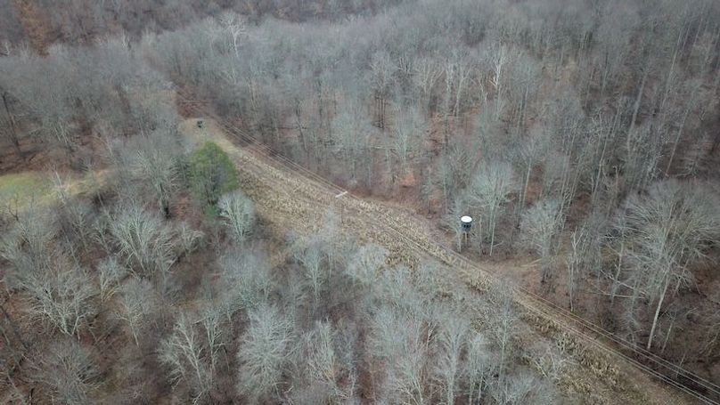 org_43f54a6b4d726c98_1767822070000