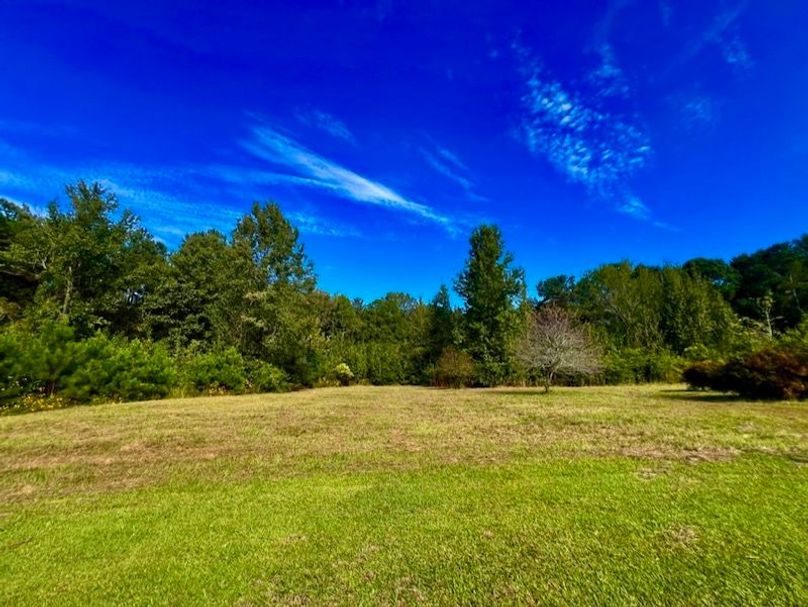 89B6D75F-D3DD-477A-A8B5-32C1E680C5C1_1_105_c