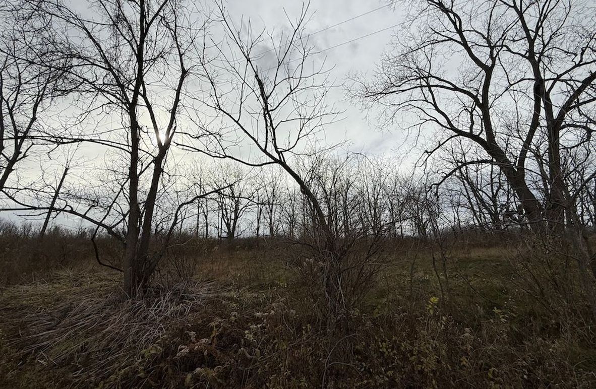 Tompkins_5.12_Galarza Photo 5