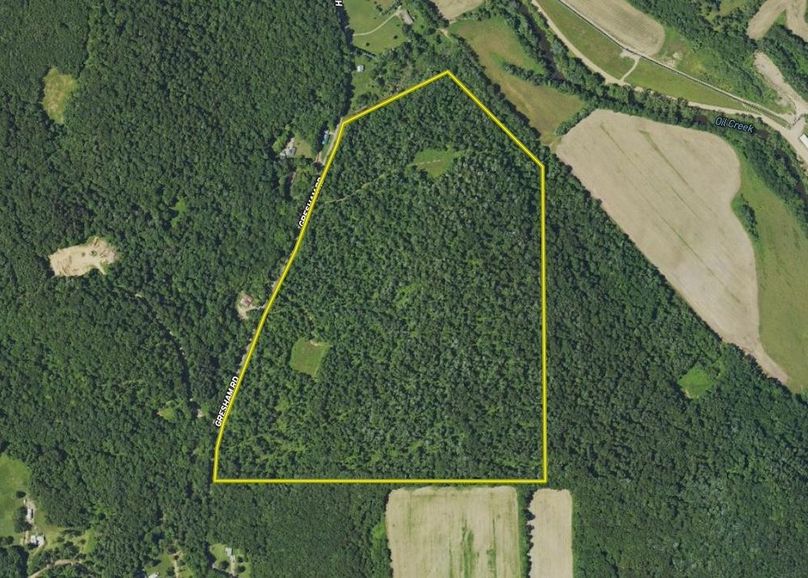 Screen Shot 2024-09-11 at 2.33.05 PM