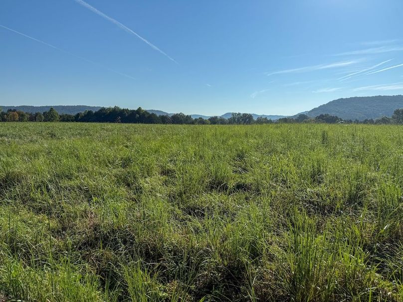 Fleming 32.98 new pic -11