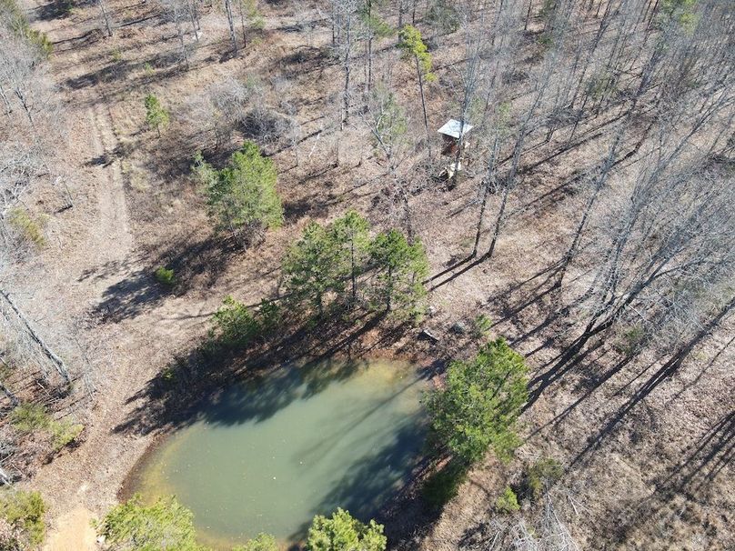 DJI_0060