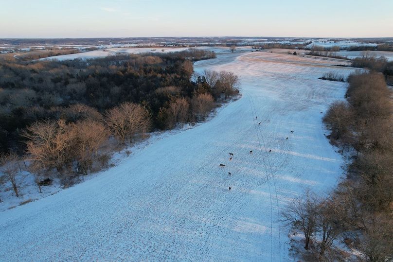 DJI_0516