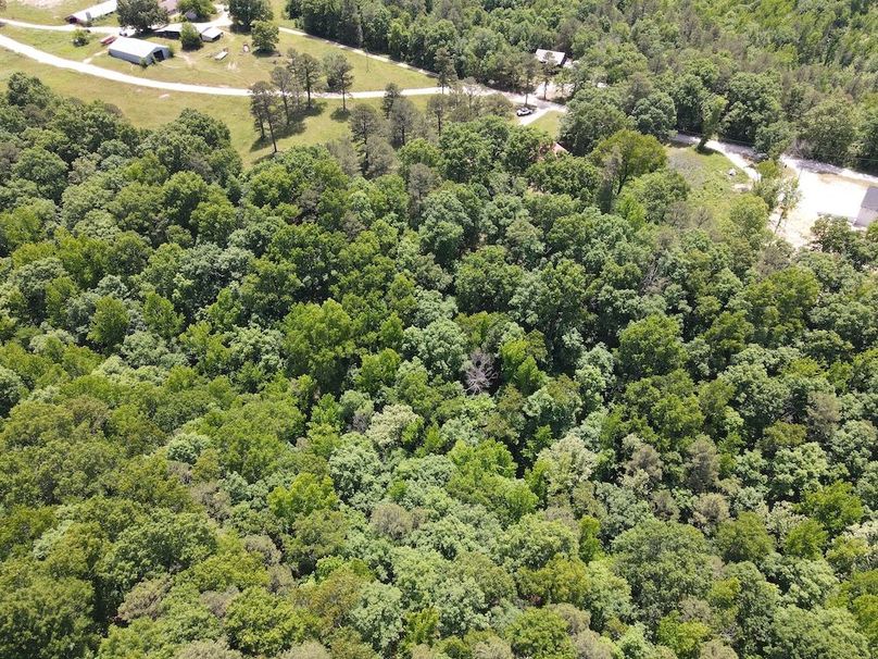 dji_fly_20260514_121358_806_1778778878000_photo