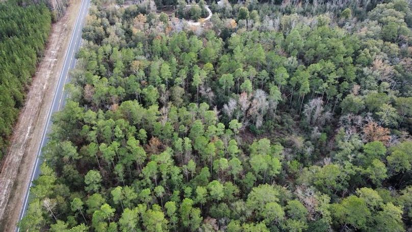 temp_image_for_default_share 2