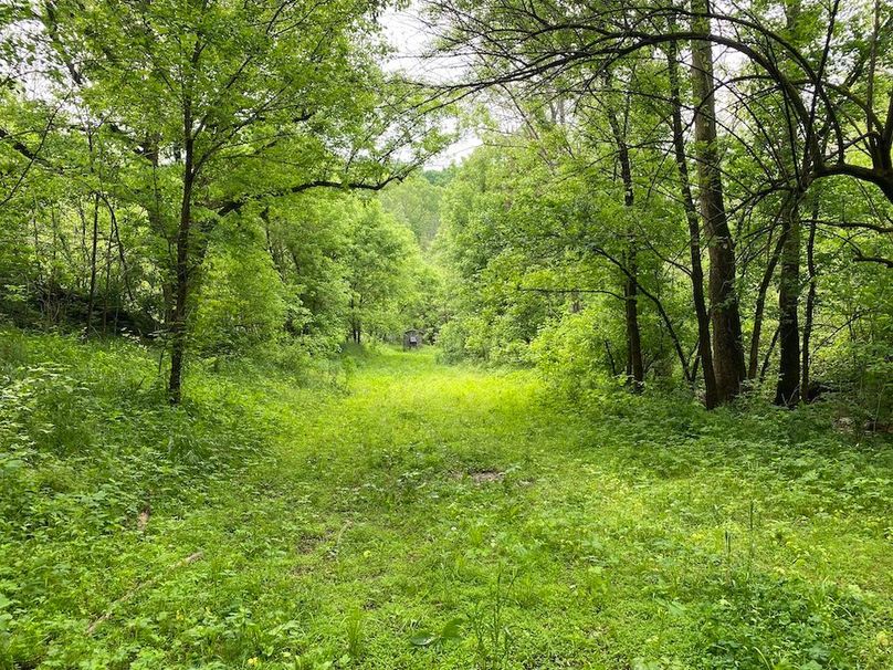 025 the small long valley food plot that sits just behind the home copy