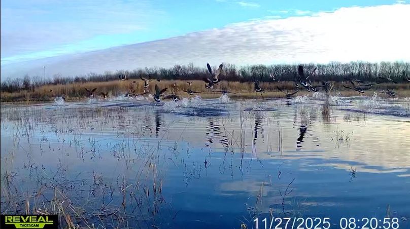 Screenshot_24-1-2026_9020_drive.google.com