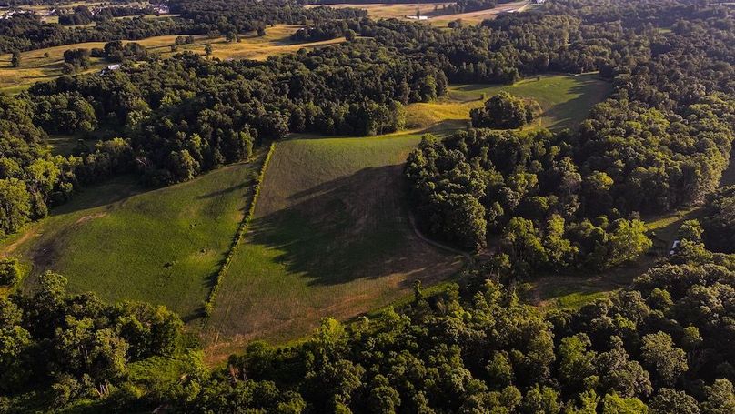 dji_fly_20250705_194444_0400_1751759938324_photo