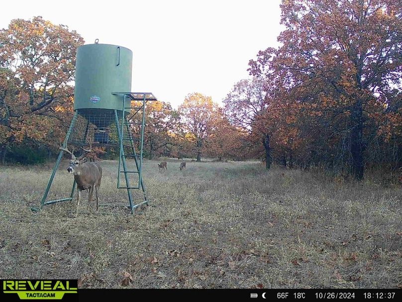 865814046498091-100-2-10262024181236-HD-W1002342