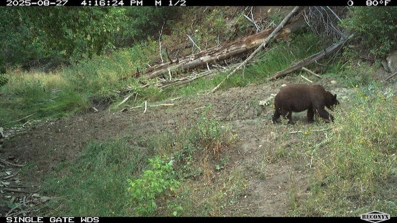 B5F90A56-E4B8-45BD-A3EA-3EB1453CCB46