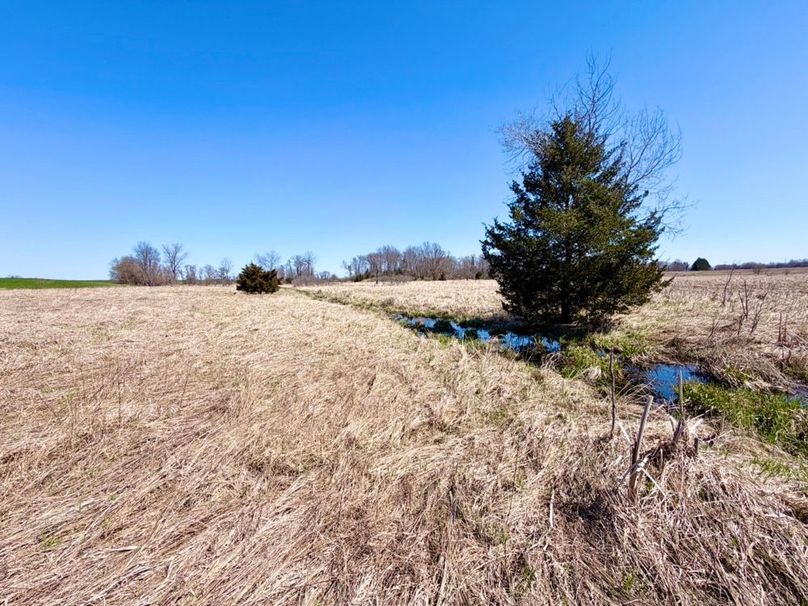 Center Field Cedar on Creek