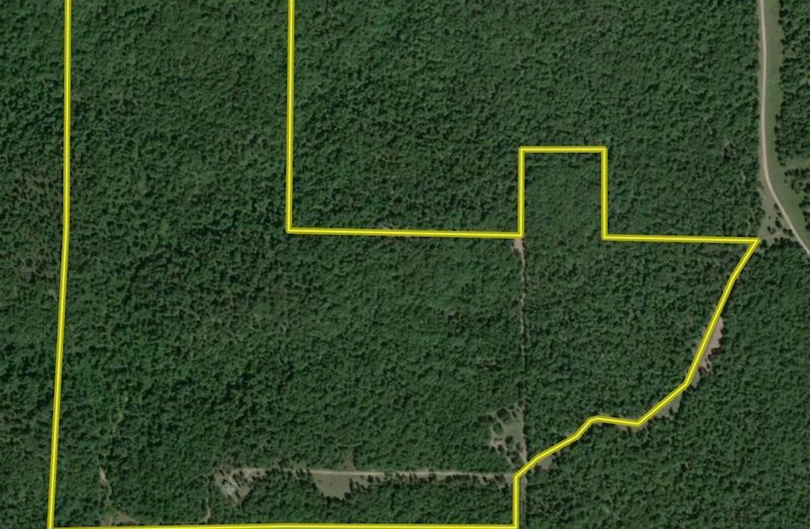 Screenshot 2025-08-12 at 1.50.56 PM