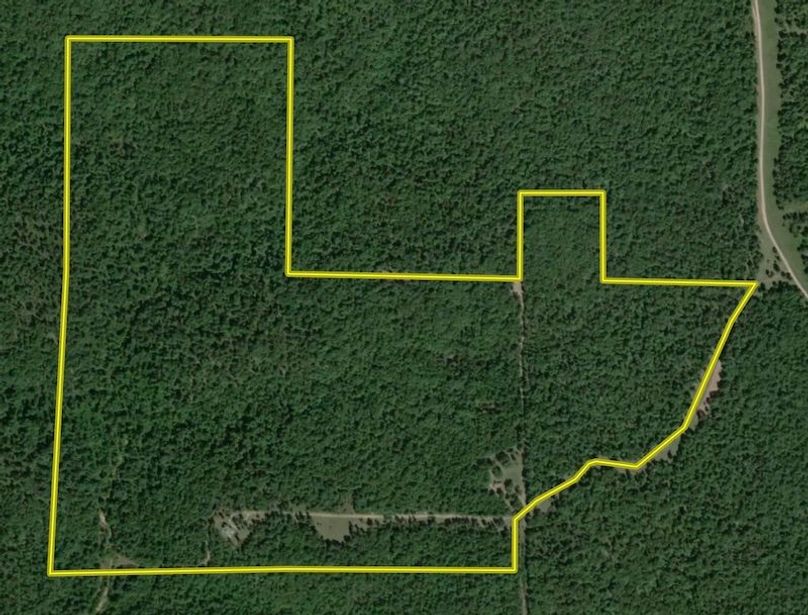 Screenshot 2025-08-12 at 1.50.56 PM