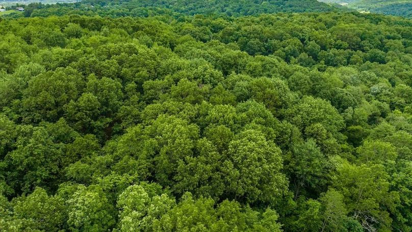 Copy of 09-z 61342 High Hill Rd009