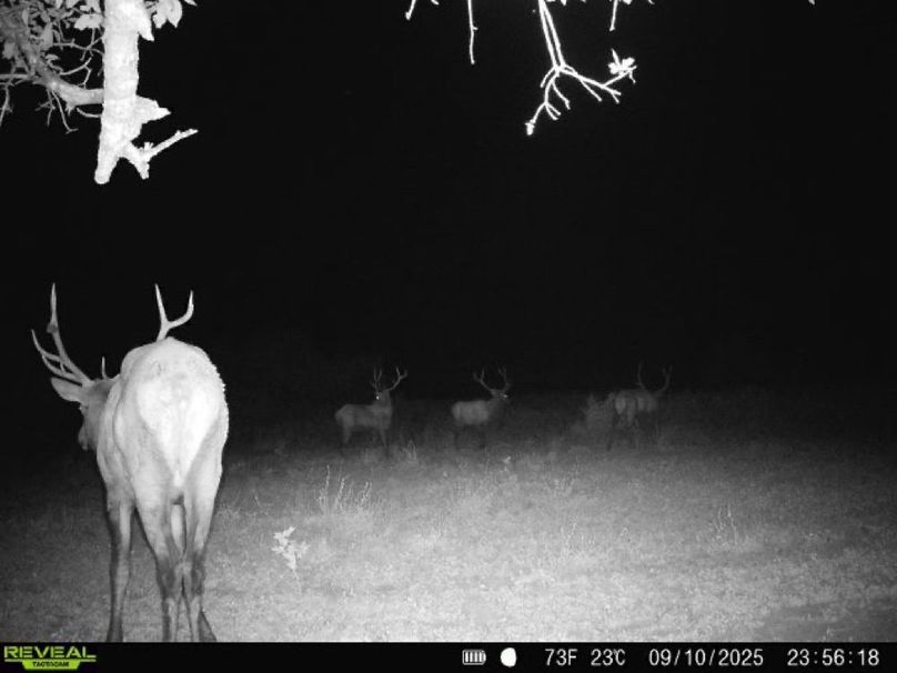 Copy of 868032069649766-100-3-09102025235618-W1005402