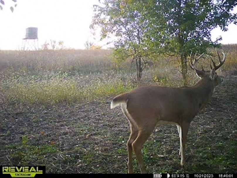 865509050418056-60-4-10212023184027-W1002963