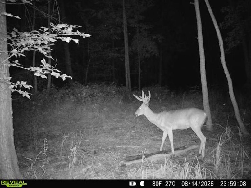 860516068101389-90-3-08142025235908-V-W1000407