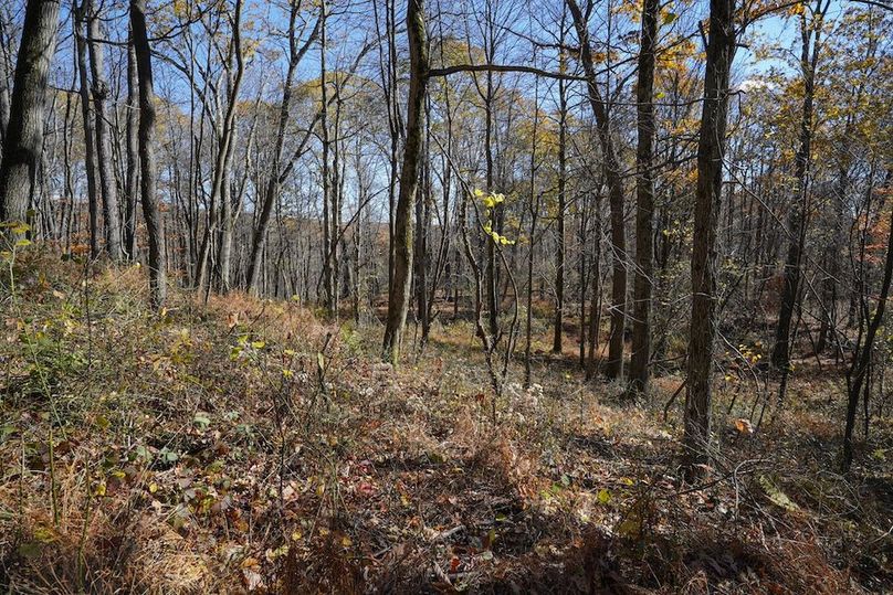 Somerset, 10.91, Tinkey-40